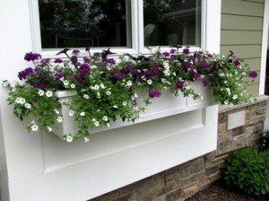 window box