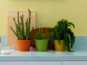 colourful pots